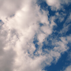 Obraz premium Fluffy cumulus clouds with blue openings and calm weather atmosphere