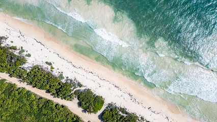 Sian Kaan Biosphere Mexico Beach with a green line of trees and a blue ocean. The ocean is calm and the trees are lush and green