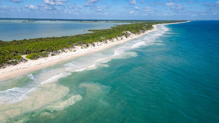Sian Kaan Biosphere Mexico Beautiful beach with a blue ocean in the background. The beach is lined with palm trees and the water is calm
