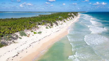 Sian Kaan Biosphere Mexico Beautiful beach with a blue ocean in the background. The beach is covered with sand and palm trees