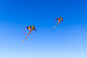 Vibrant rainbow kites flying high against a clear blue sky.