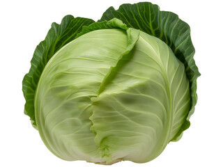 Fototapeta premium Fresh green cabbage with crisp leaves and vibrant texture isolated on for healthy food photography on a transparent background PNG