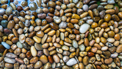Smooth wet pebbles in various earthy tones and colors