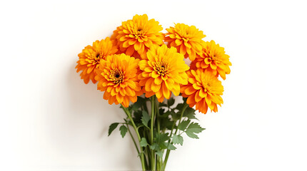 Obraz premium Bright Orange Chrysanthemum Bouquet Arranged with Green Stems
