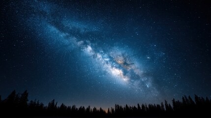 Naklejka premium Stunning night sky filled with stars and the Milky Way galaxy visible above a silhouette of trees in a serene wilderness landscape