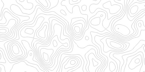 Contour abstract map relief land outline. Topographic map patterns. White wave paper curved reliefs abstract background. Background of the topography map. Abstract pattern with lines. © armans