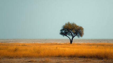 Lonely Tree Standing in Golden Grass Field Under Pale Sky