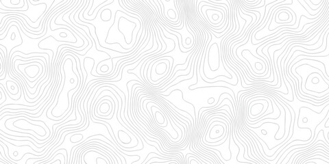 Contour abstract map relief land outline. Topographic map patterns. White wave paper curved reliefs abstract background. Background of the topography map. Abstract pattern with lines. © armans