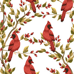 Seamless pattern with rosehip berry and  red cardinal bird. Background for plaid