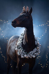 A majestic dark brown PRE (andalusian) horse stands proudly against a dramatic background with festive string lights