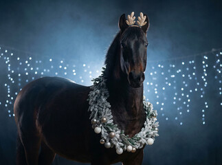 A majestic dark brown PRE (andalusian) horse stands proudly against a dramatic background with festive string lights