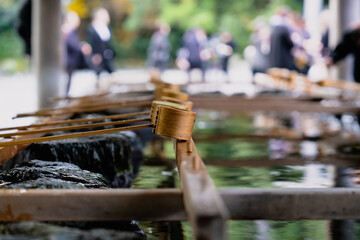 日本神話：神聖な森と川（神宮・五十鈴川）