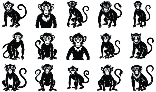 set of monkey silhouettes on isolated background