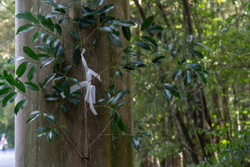 日本神話：神聖な森と川（神宮・五十鈴川）
