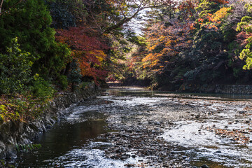 日本神話：神聖な森と川（神宮・五十鈴川）