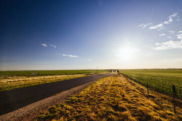 Wheat Fields in Victoria Australia