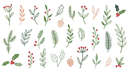 Holiday Botanical Illustrations of Winter Greenery and Berries on White Background for Seasonal Design