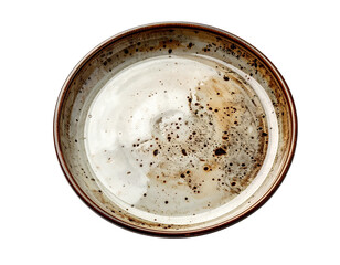 Rustic Ceramic Plate with Speckled Glaze and Earthy Tones.