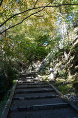 Fototapeta premium 京都槙尾西明寺の参道の風景