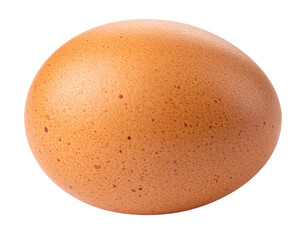 A single brown chicken egg isolated on a white background.