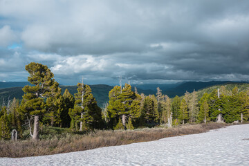 Scenic view from large snowfield to coniferous trees on thawed ground against dark silhouettes of big forest hills far away under gray dramatic cloudy sky. Hilly woody scenery in changeable weather.
