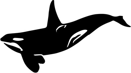 Silhoutte of a killer whale © Bangkit