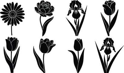 Black flower silhouettes set with elegant tulips daisies irises and blooming peonies isolated on white background for spring botanical design © MdAnowarHossain