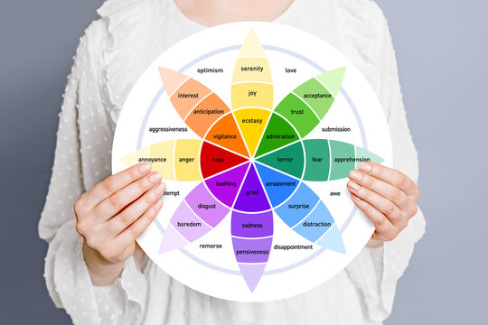 Wheel of emotions. woman holding a round paper poster with a diagram of the wheel of emotions