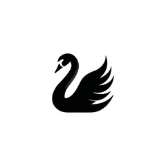 Obraz premium black swan vector illustration