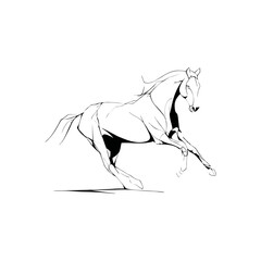 silhouette of a horse