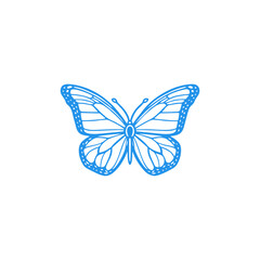 butterfly on white background © ariell11