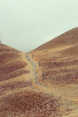 대구광역시 불로동 고분군