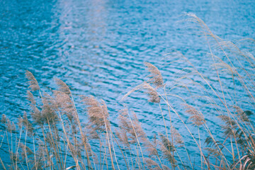 대구광역시 수성못
