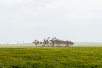 Dust Storm in Victoria Australia