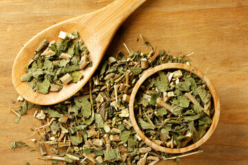 Lemon balm, Melissa officinalis, dried leaves in a wooden bowl and spoon, spread on a rustic wooden table