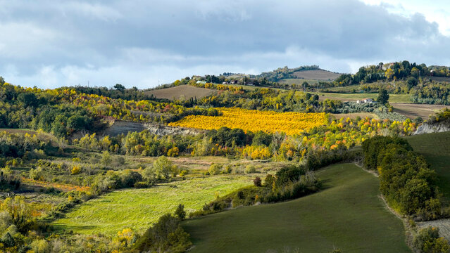 Fogliame autunnale nel Parco Naturale delle Foreste Casentinesi, Appennino Tosco-Romagnolo. Panorami autunnali delle montagne bolognesi. Bologna, Emilia-Romagna, Italia.