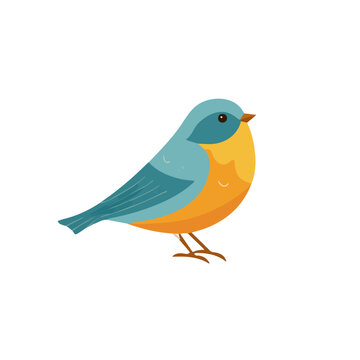 Tweedia illustrated in a clean 2D flat vector style, minimal and modern, isolated on a white background.