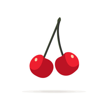 Wild Cherry, modern 2D flat vector illustration in icon style, isolated on pure white background.