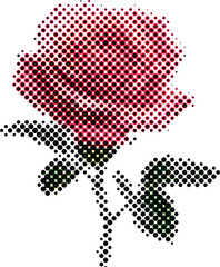 Halftone Rose Blossom Close Up in Vintage Dot Style Romantic Floral Illustration Isolated on White Background