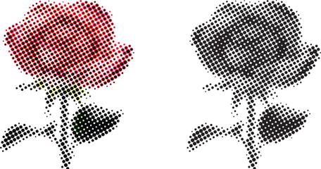 Halftone Rose Flower in Vintage Dot Style Romantic Floral Design Element Isolated on White Background