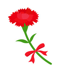 リボンが巻かれたカーネーション