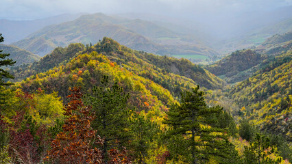 Obraz premium Fogliage autunnale nel Parco Naturale delle Foreste Casentinesi, Appennino Tosco-Romagnolo. Panorami autunnali delle montagne bolognesi. Bologna, Emilia-Romagna, Italia.