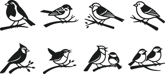 Fototapeta premium set of silhouettes of birds