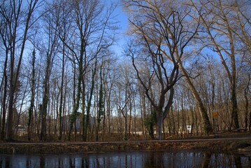 wasser landschaft natur baum himmel