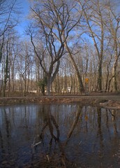 wasser landschaft baum himmel natur