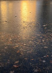 wasser sonne natur landschaft abend