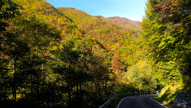 Il tappeto di foglie cadute e i colori del foliage autunnale nei boschi dell'Appennino emiliano-romagnolo al Passo Tre Croci, al confine con la provincia di Toscana tra Pistoia e Porretta Terme, Emili