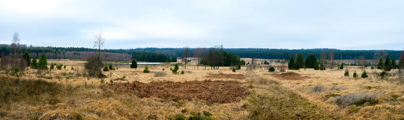 View on nature and peatland lanscape of Famenne and Fagne Mochamps near Tenneville, Ardennes of Wallonia, Belgium