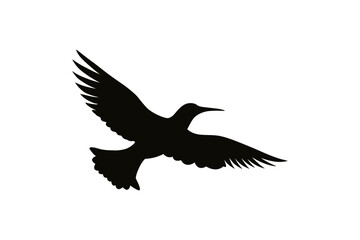 Fototapeta premium Flying Bird Silhouette Isolated on transparent Background with Wings Spread