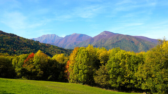 Il tappeto di foglie cadute e i colori del foliage autunnale nei boschi dell'Appennino emiliano-romagnolo al Passo Tre Croci, al confine con la provincia di Toscana tra Pistoia e Porretta Terme, Emili